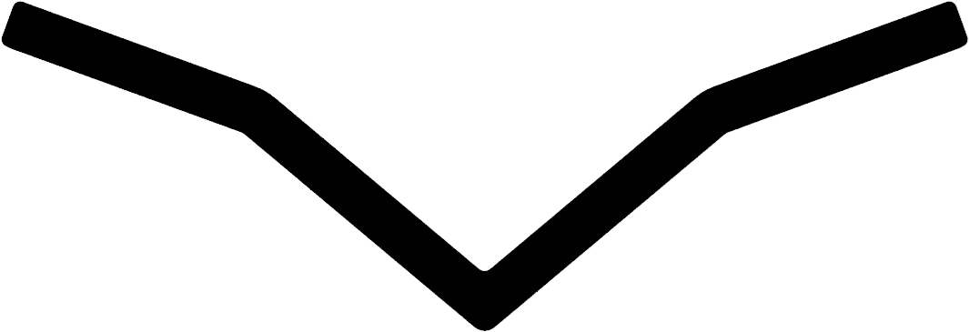 Logo2